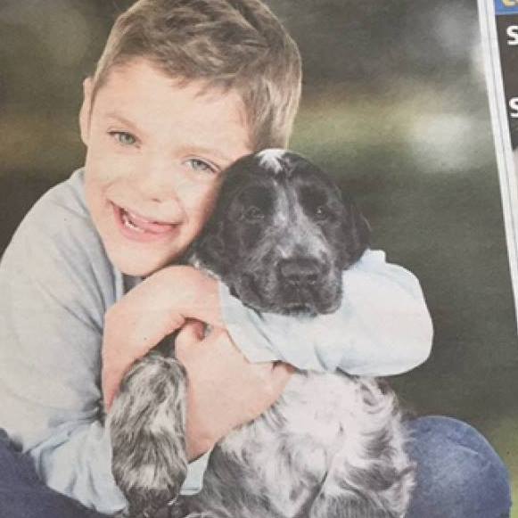 cockerspaniels and children